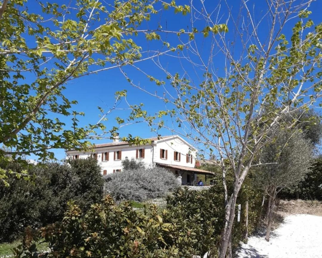 Rustico Del Bozzo Guest House Castelleone di Suasa Exterior photo