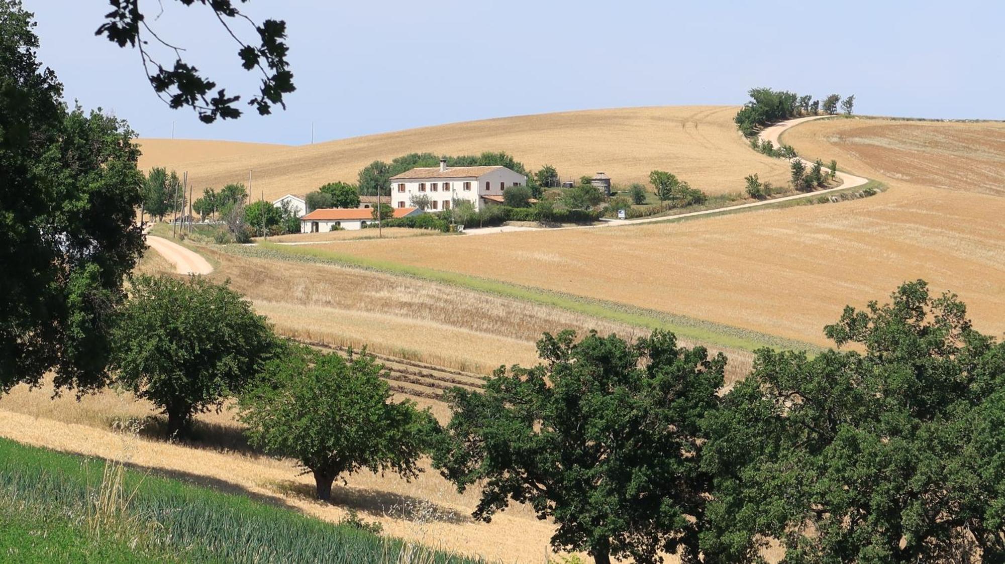 Rustico Del Bozzo Guest House Castelleone di Suasa Exterior photo